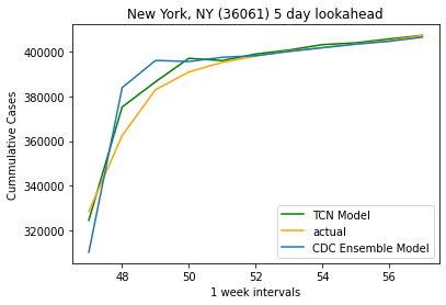 TCN model forecast of cumulative COVID-19 cases versus actual counts.