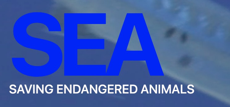 Screenshot of SEA project
